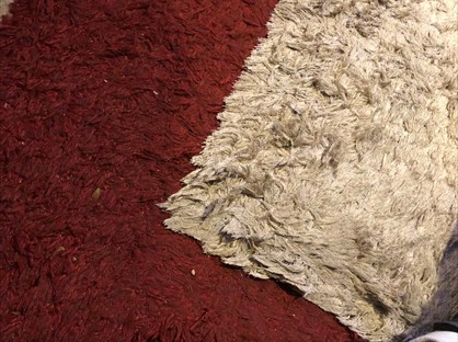 Room in a Shared House, Howards Lane, KT15