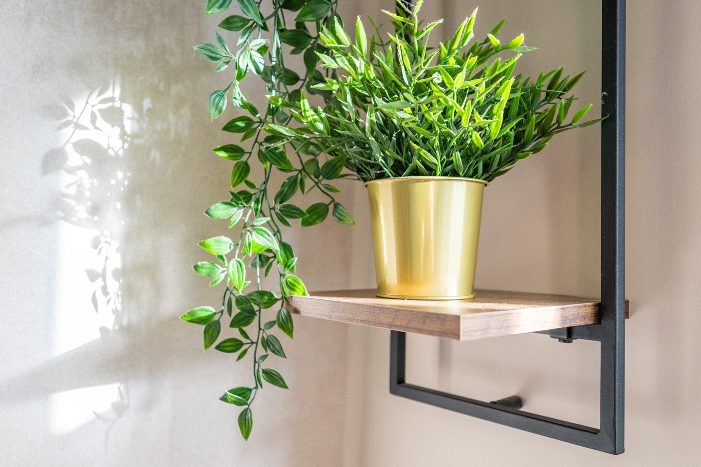 Additional image 13 of 1 Bed Flat, Merches Gardens, CF11, N1 7GU