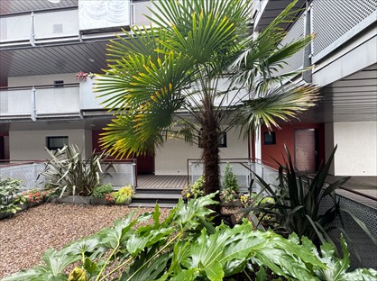 2 Bed Penthouse, Park View, CF10
