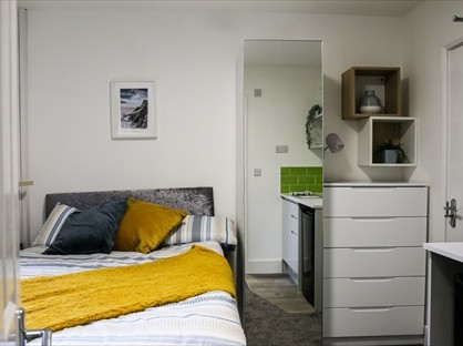 Room in a Shared Flat, Wellington, TF1