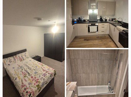 Room in a Shared Flat, Argo, SE15