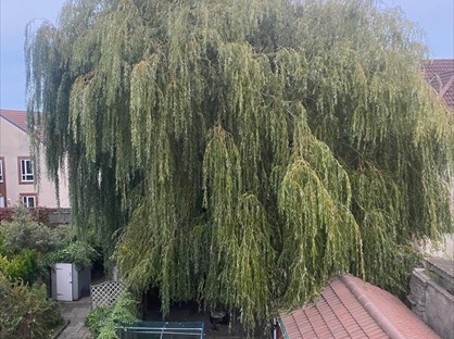 Room in a Shared House, Staple Hill, BS16