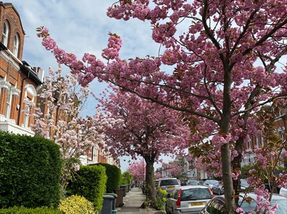 2 Bed Flat, Cecile Park, N8