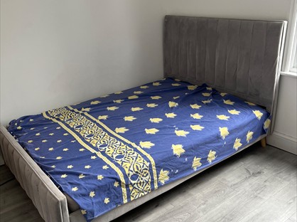 Room in a Shared Flat, London, E11