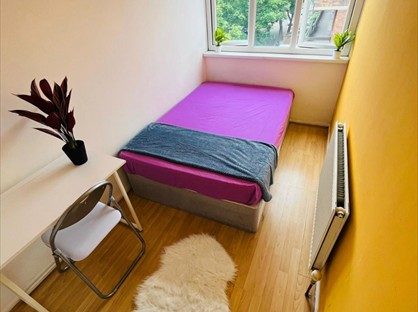 Room in a Shared Flat, Carey Gardens, SW8