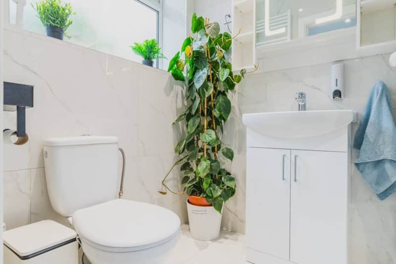 Additional image 9 of Room in a Shared House, Trent Road, NG2, N1 7GU