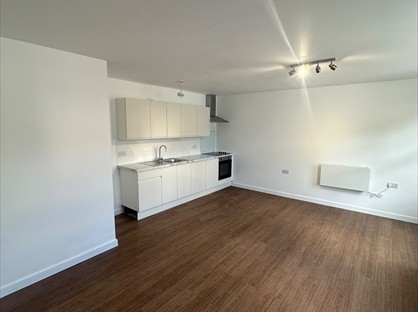Studio Flat, Tegfan, LL28