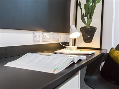 Room in a Shared Flat, Student Manor Block D  Room D, CT1