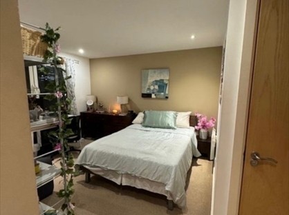 Room in a Shared Flat, London, SW1V