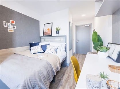 Room in a Shared Flat, Onyx, B4