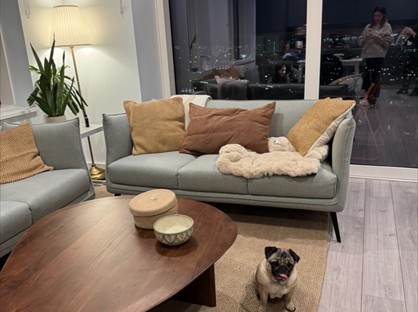 2 Bed Flat, Asha Point, SE17