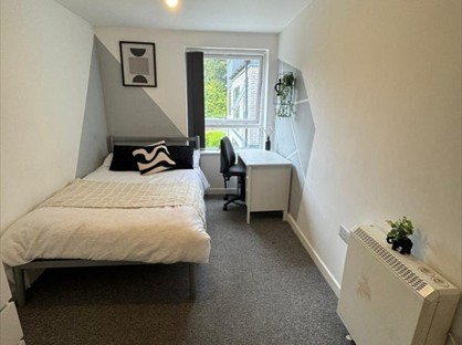 Room in a Shared Flat, Bryn Road, SA2