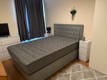 Room in a Shared House, Anne Of Cleves Road, DA1