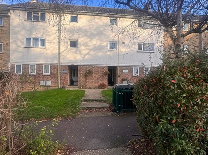 Room in a Shared Flat, The Dashes, CM20