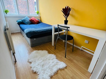 Room in a Shared Flat, London, SW8