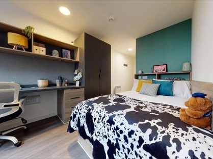 Room in a Shared Flat, Forest Road, E17