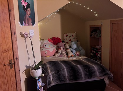 Room in a Shared House, King Street, AB24