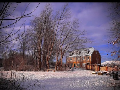 3 Bed Terraced House, Maple Avenue, NE15