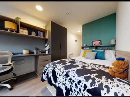 Room in a Shared House, Forest Road, E17