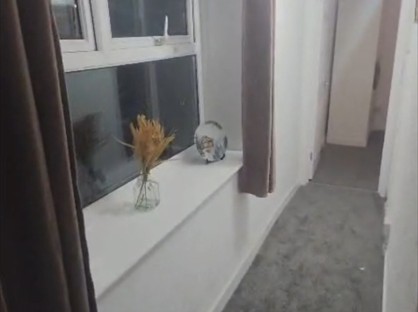 4 bed terraced house for rent in 4 Bed End Terrace, Rodney St, SA1