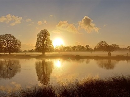 Room in a Shared Flat, High Street, KT1