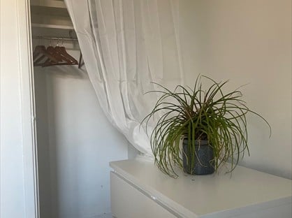 Room in a Shared Flat, Pedro Street, E5