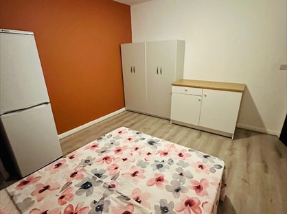 Room in a Shared Flat, Penshurst Road, N17