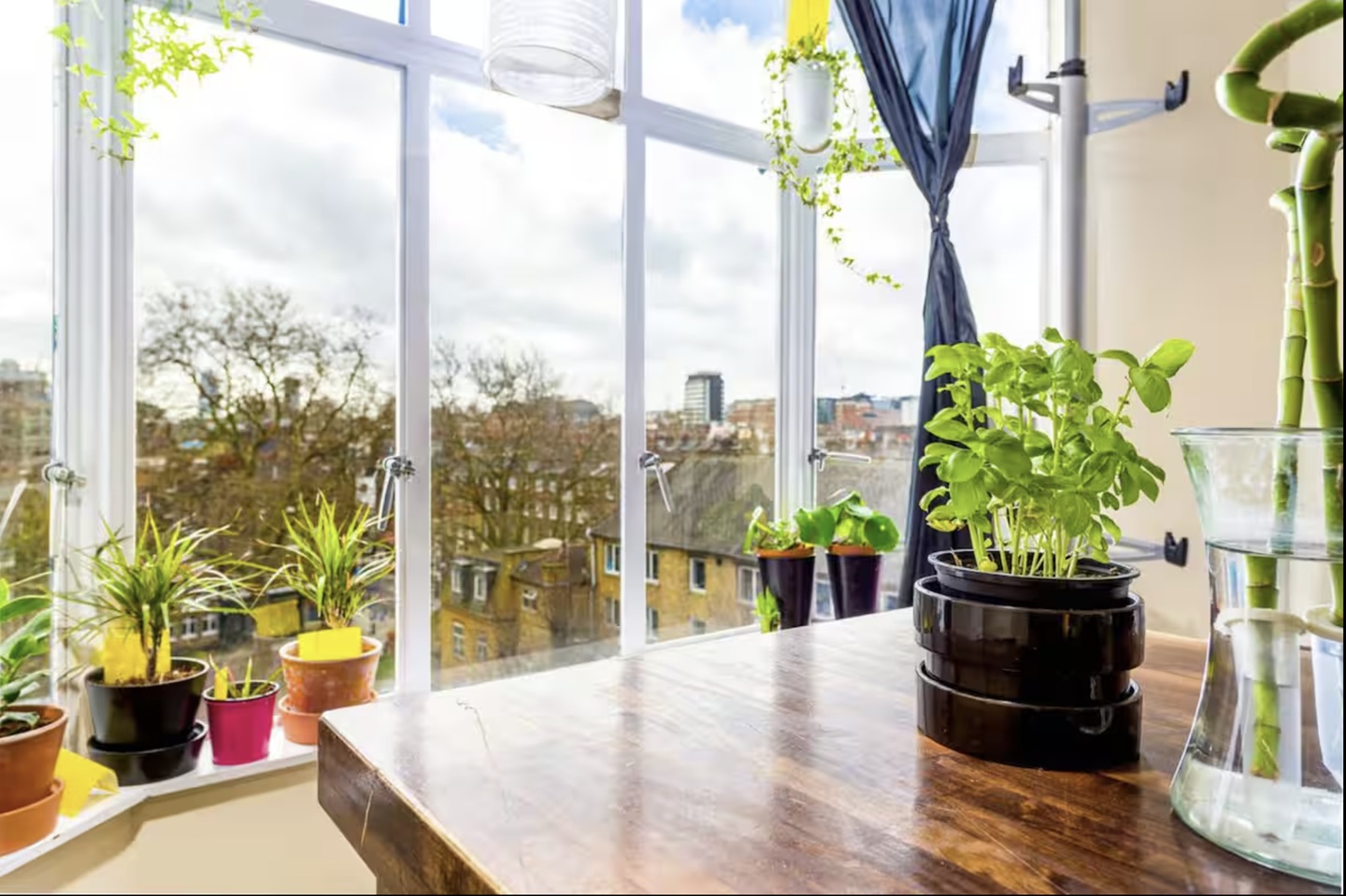 Additional image 2 of 1 Bed Flat, Gray's Inn Rd, WC1X, N1 7GU