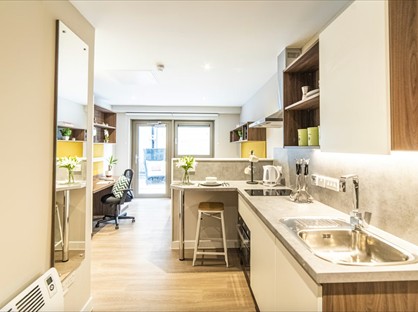 Studio Flat, Student Roost - Brewers Court, EH8