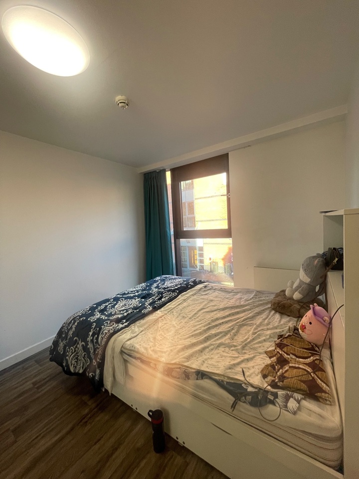 Room in a Shared Flat, Dublin Road, BT2, N1 7GU