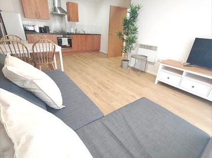 Room in a Shared Flat, Camp Street, M7