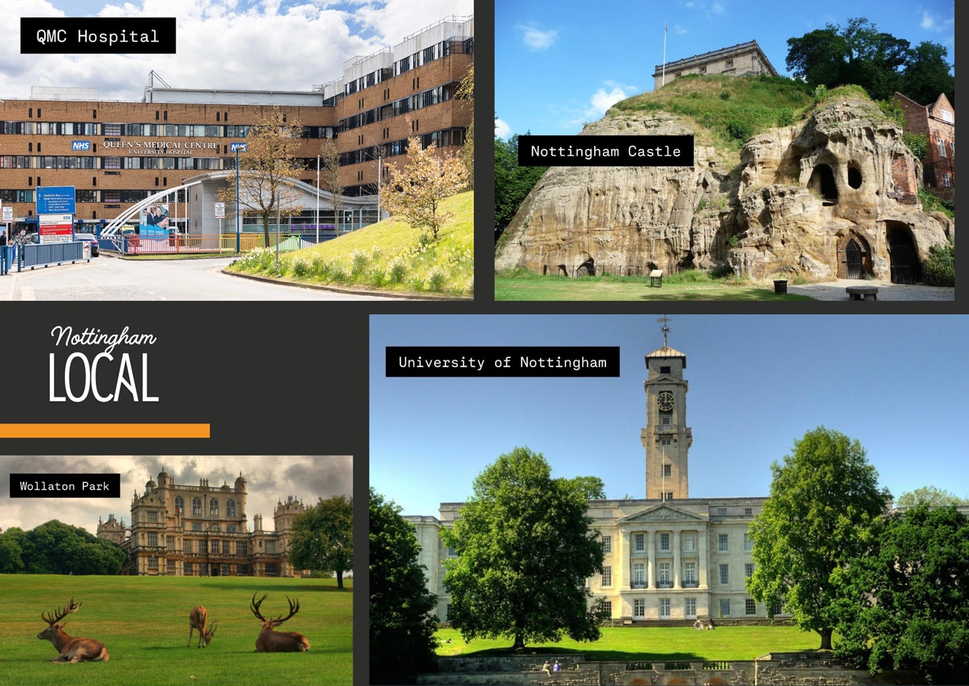 Additional image 17 of 2 Bed Detached House, Montpelier Road, NG7, N1 7GU