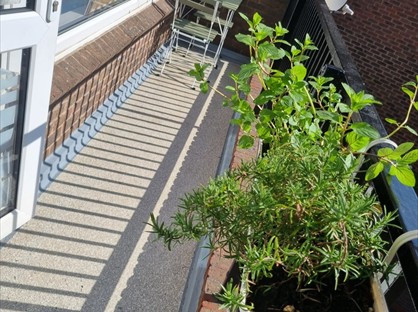 Room in a Shared Flat, Potier Street, SE1