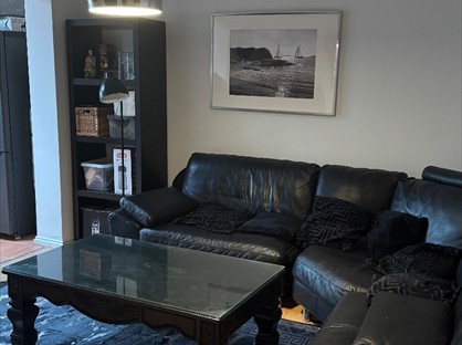 Room in a Shared House, Chestnut Avenue, TW8