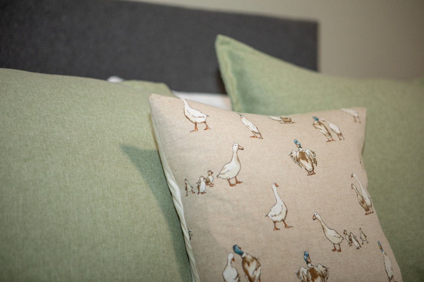 Additional image 13 of Room in a Shared House, Macklin Street, DE1, N1 7GU