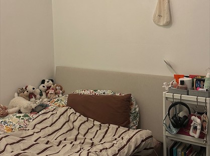 Room in a Shared Flat, Minden Road, SE20