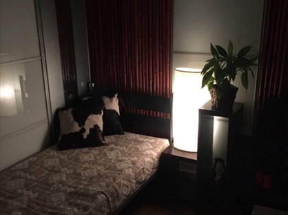 Room in a Shared House, London, NW7