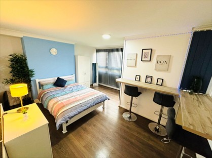 Room in a Shared Flat, Langdon Park, E14
