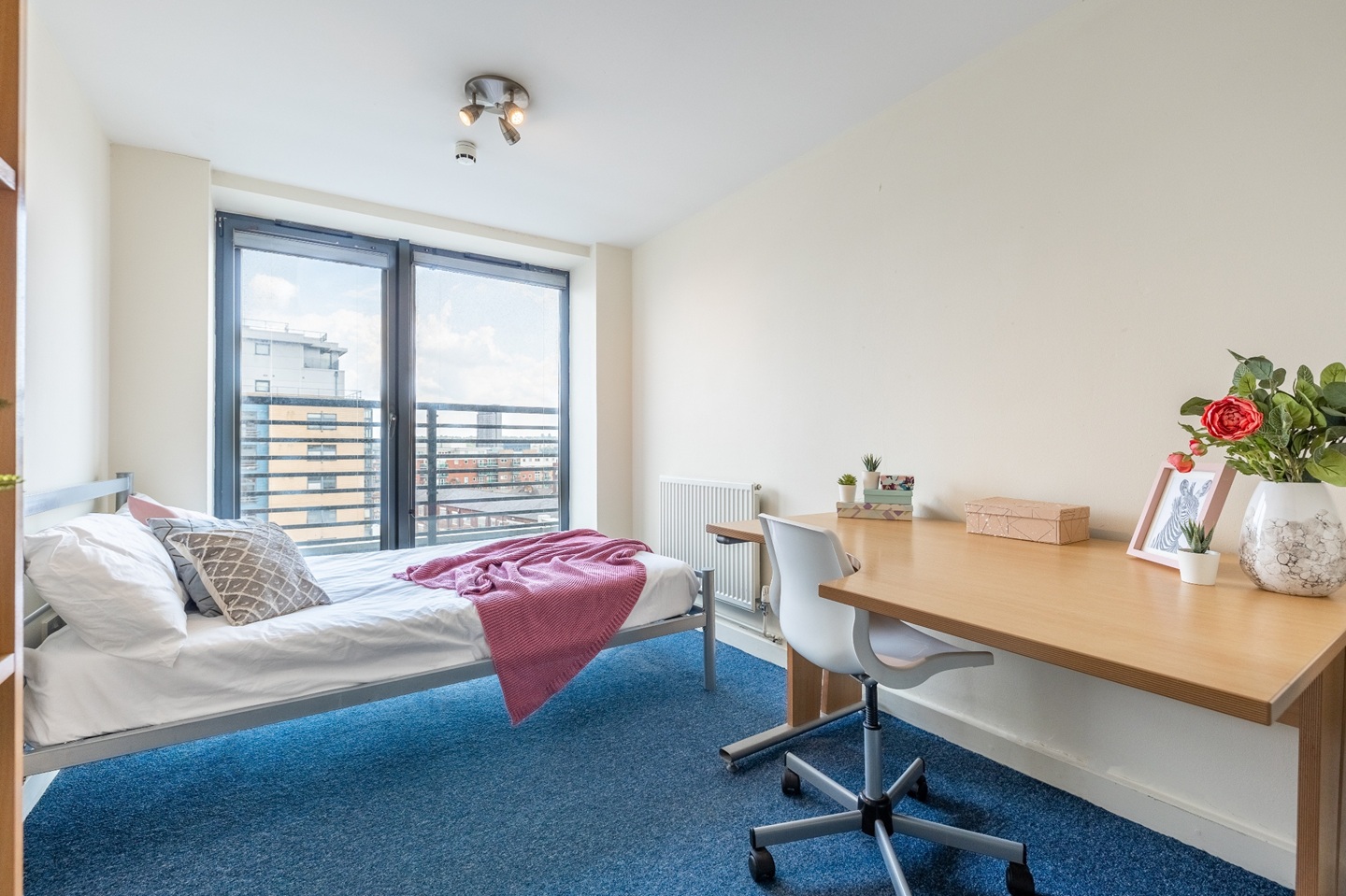 Additional image 5 of Room in a Shared Flat, Regent Terrace, S3, N1 7GU