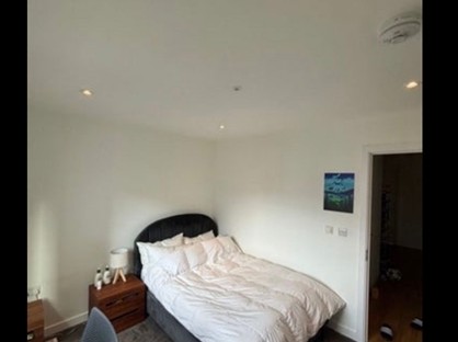 Room in a Shared Flat, Mimosa House, E20