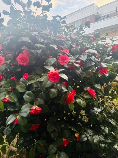 Additional image 23 of 2 Bed Flat, Mansfield Road, NG5, N1 7GU