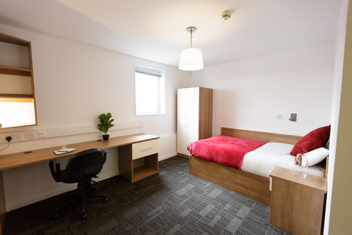 Additional image 17 of Studio Flat, Holloway Road, N7, N1 7GU