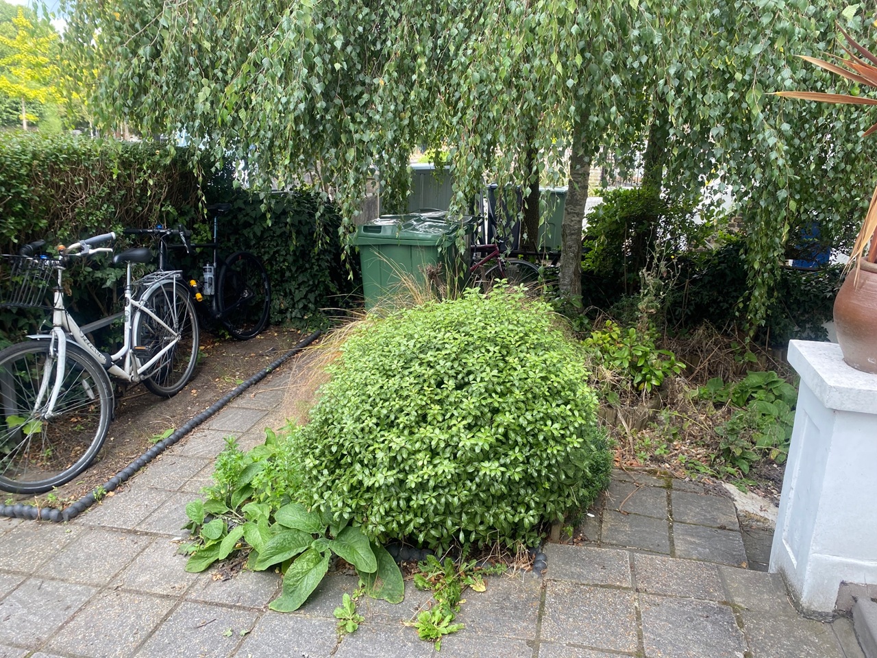 Additional image 30 of 4 Bed Maisonette, Knatchbull Road, SE5, N1 7GU