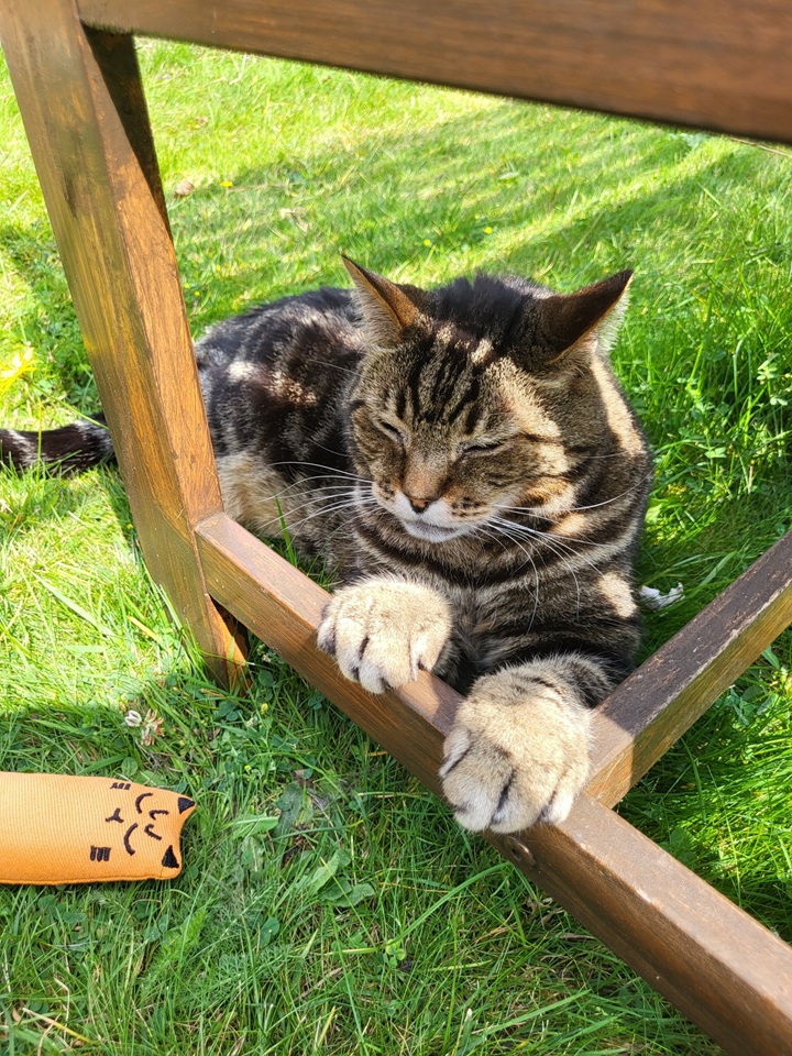 Additional image 5 of Room in a Shared House, Teesdale Road, NG5, N1 7GU