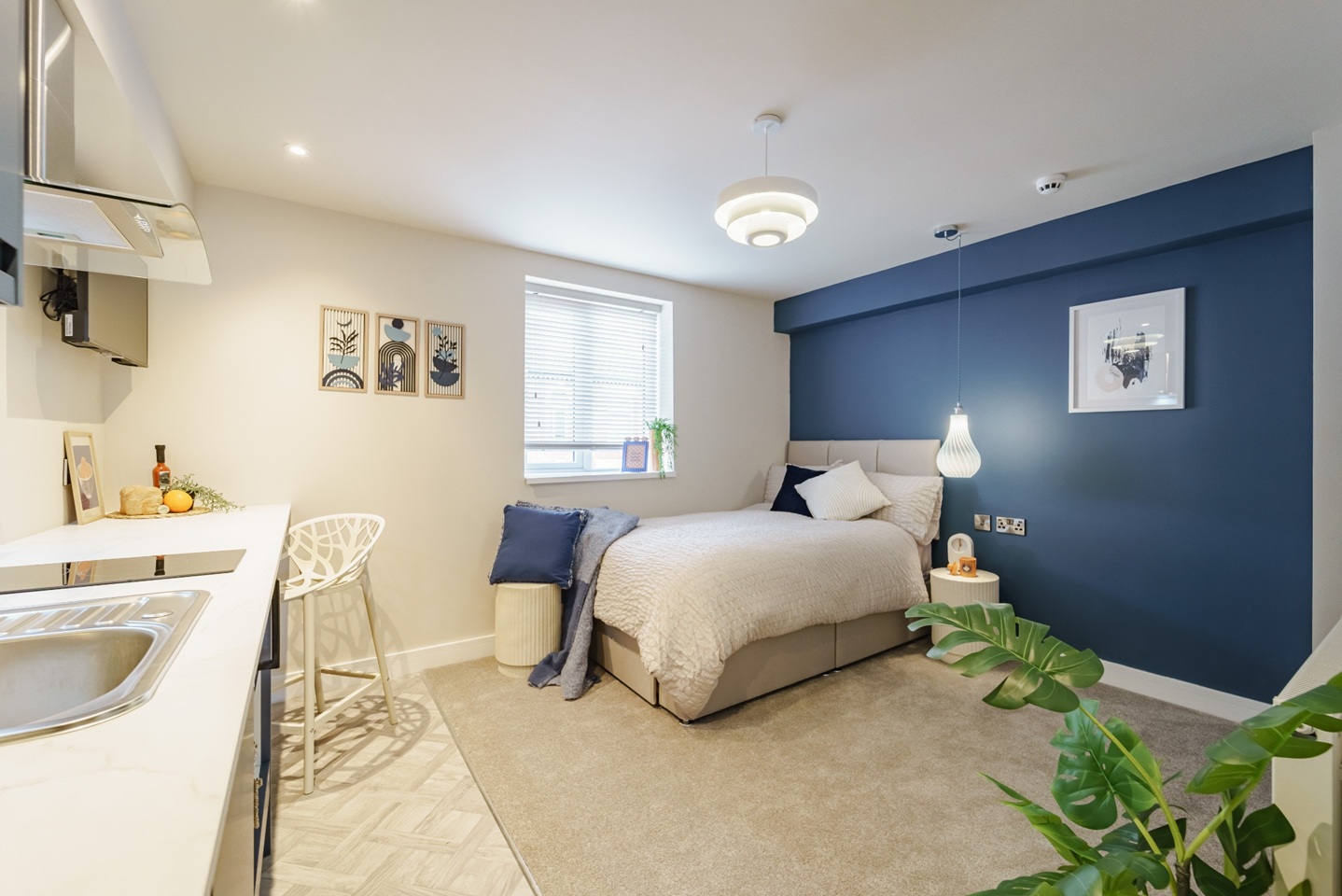 Studio Flat, Harcourt St, DE1, N1 7GU