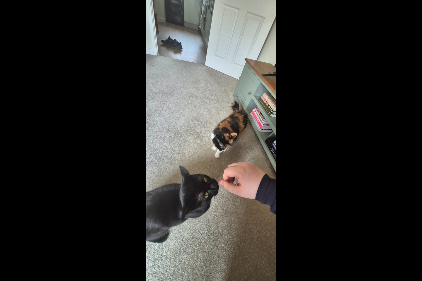 Additional image 6 of 3 Bed Semi-Detached House, Carlen Drive, DE24, N1 7GU