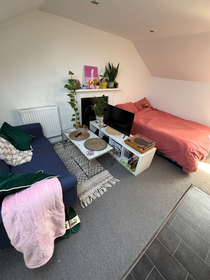 Additional image 2 of Studio Flat, Battersea Park Road, SW11, N1 7GU