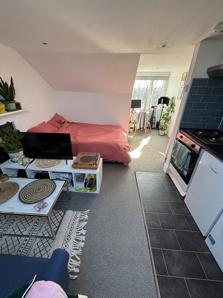 Additional image 3 of Studio Flat, Battersea Park Road, SW11, N1 7GU