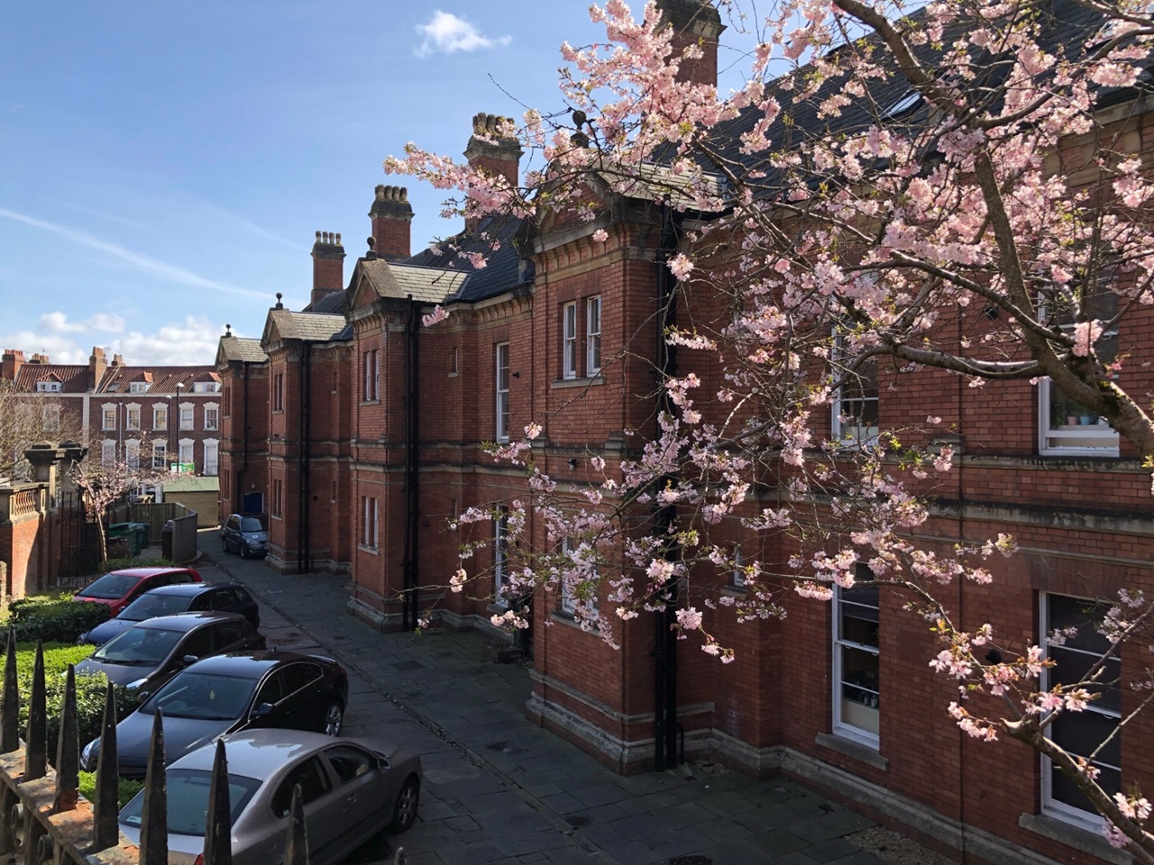 Studio Flat, Haberfield House, BS8, N1 7GU
