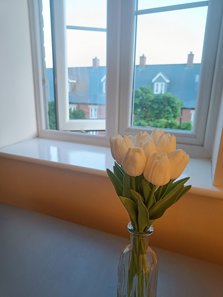 Additional image 9 of Room in a Shared House, Whitelands Way, OX26, N1 7GU